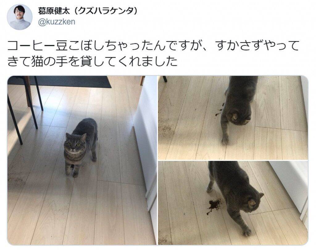 猫の手を借りるってこういうことか……！　お手伝いにすかさず駆けつけるニャンコが話題に