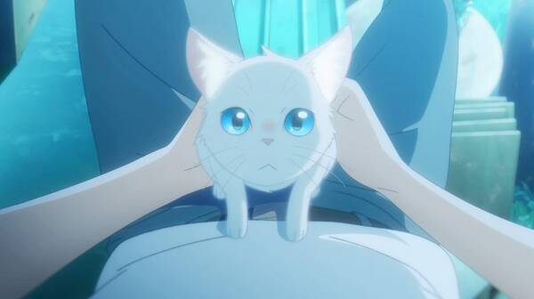 愛猫家 花江夏樹もメロメロ 猫の 太郎 にご注目 Netflixアニメ映画 泣きたい私は猫をかぶる 年5月22日 エキサイトニュース