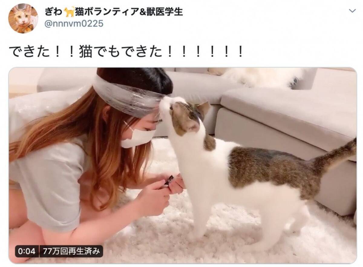 猫の爪を切っても無抵抗 簡単に爪切りする方法が発明され 天才 是非とも試したい と大絶賛の嵐 年6月9日 エキサイトニュース