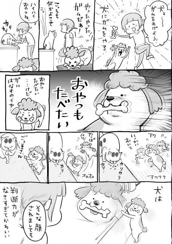 犬 判断力がなさすぎ 猫 判断力に迷いなし 漫画ツイートに共感の声多数 年6月27日 エキサイトニュース