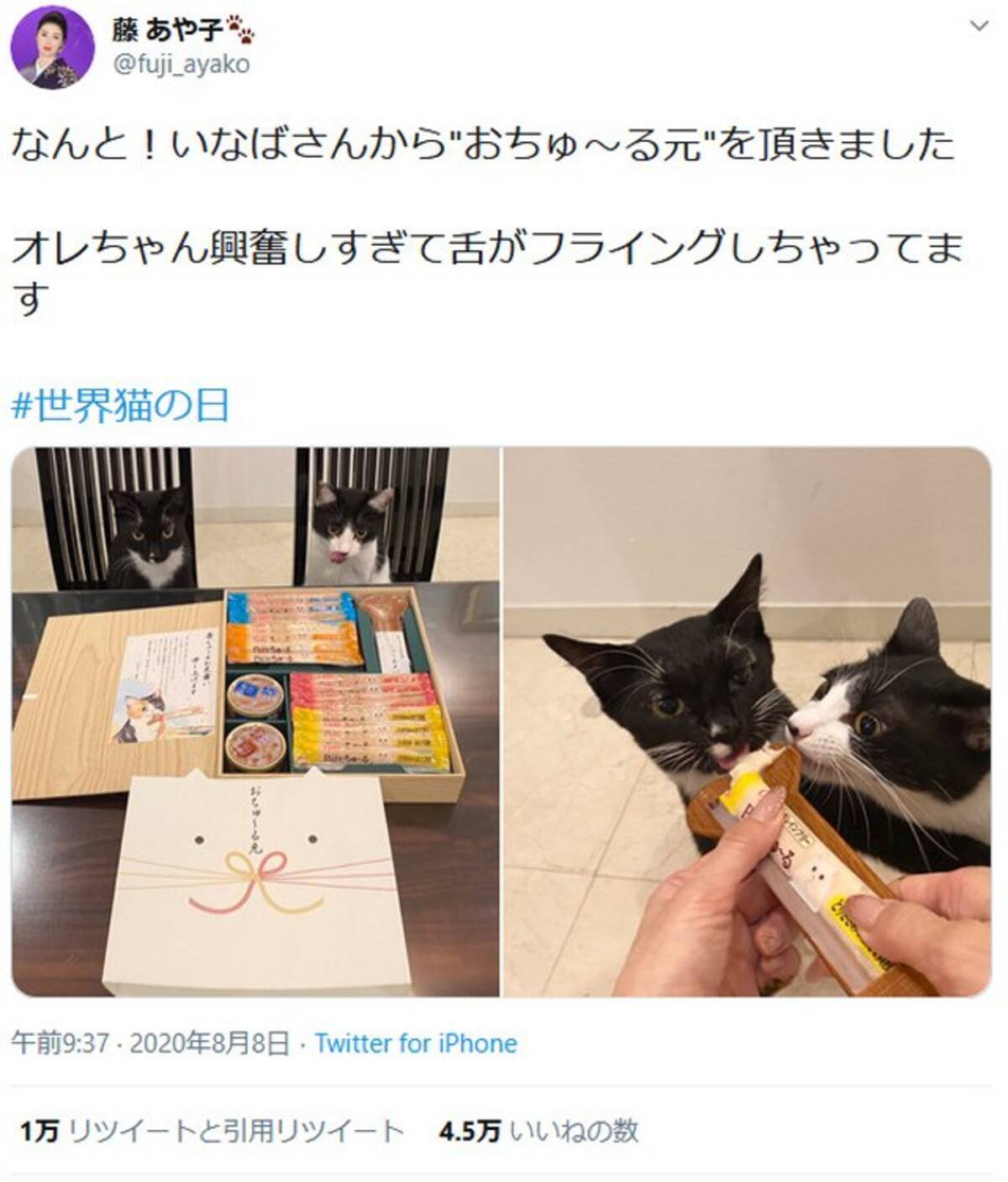 藤あや子さん なんと いなばさんから おちゅ る元 を頂きました 可愛い猫の画像ツイートに反響 2020年8月9日 エキサイトニュース