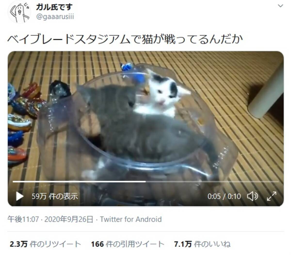 ベイブレードスタジアムでコマのようにじゃれあう子猫たちが話題に ニャンブレードですね どこのトイザらスで買えますか 年9月28日 エキサイトニュース