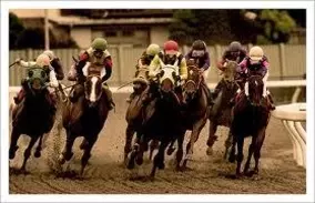 オルフェ体当たりで失速！　ジャパンカップ2着に池添「あの判定はどうかと思う」と不満爆発