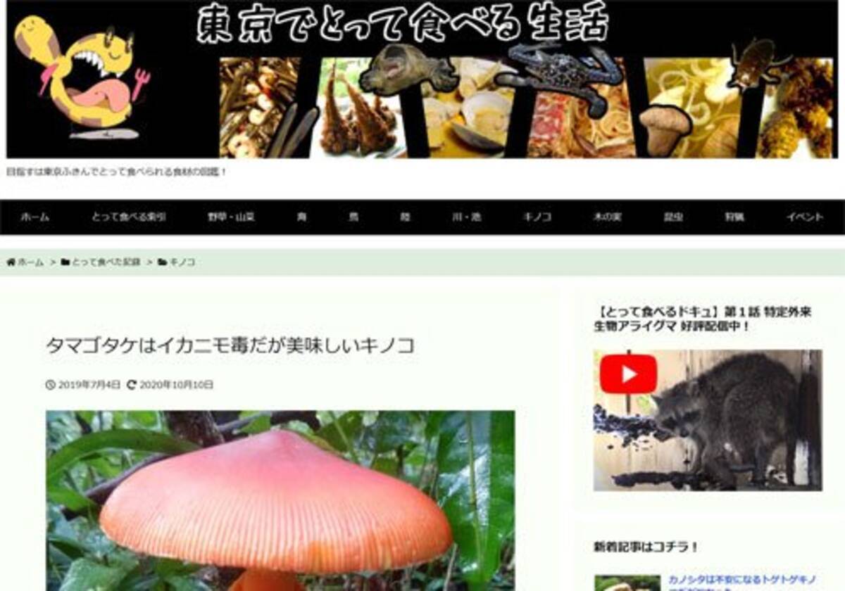 タマゴタケはイカニモ毒だが美味しいキノコ 東京でとって食べる生活 年10月14日 エキサイトニュース