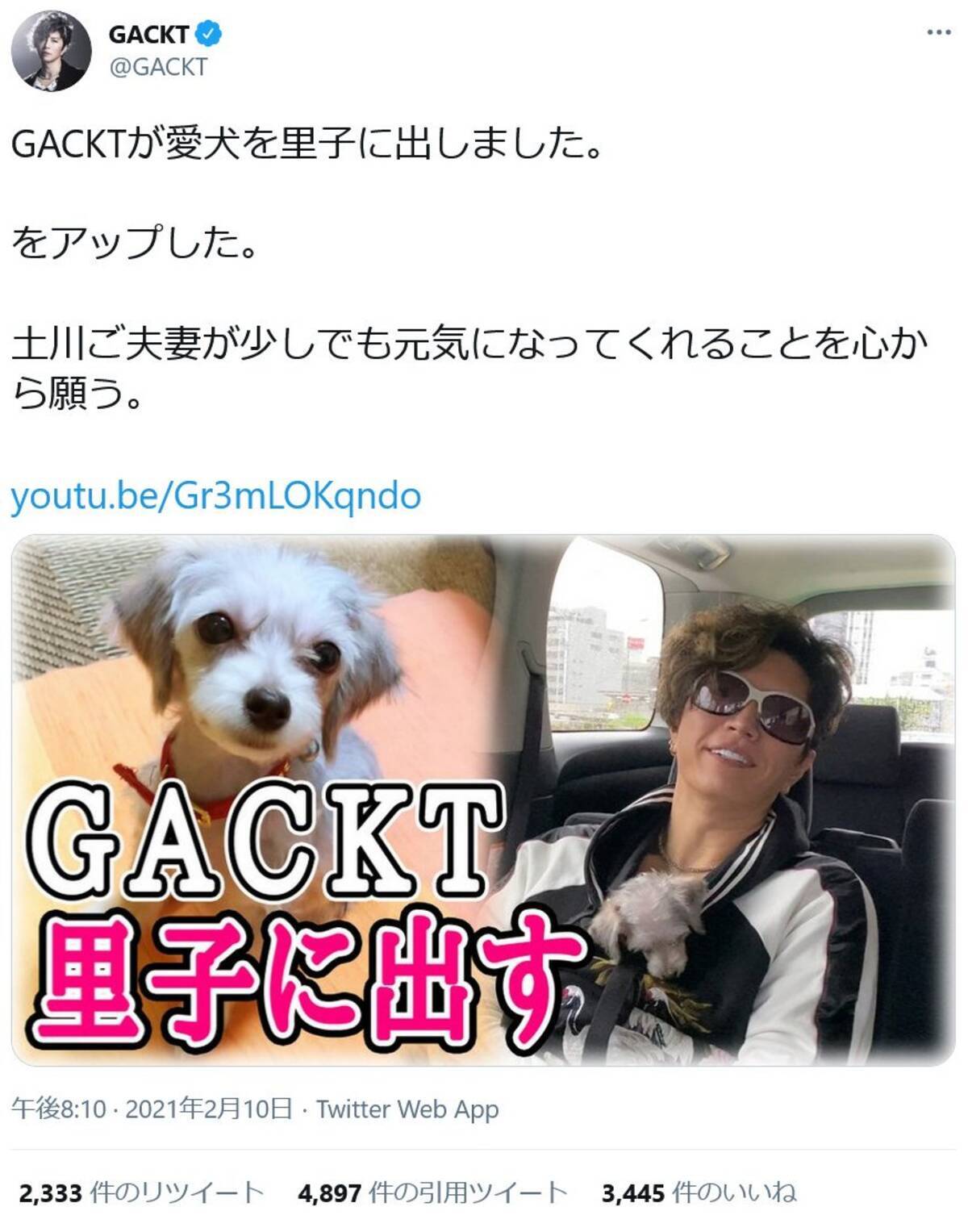 ペットロスの友人夫妻に元気になって欲しいと Gacktが愛犬を里子に出しました 動画に賛否 21年2月15日 エキサイトニュース