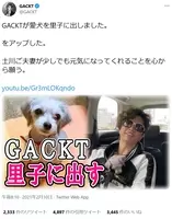 キムタクもペットロスになっている 愛犬 ボニータの消息が伝わってこない 17年10月17日 エキサイトニュース