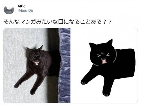 そんなマンガみたいな目になることある 黒猫の奇跡の1枚がtwitterで大反響 21年3月10日 エキサイトニュース