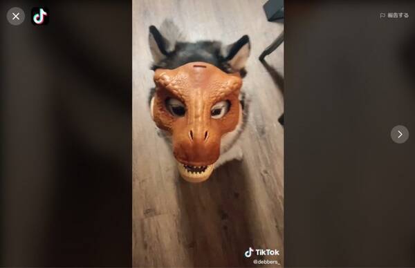 ジュラシック ワールド 公式も反応した可愛すぎる恐竜 ヘンリー ウー博士の極秘プロジェクト 最新のハイブリッドですか 21年4月15日 エキサイトニュース