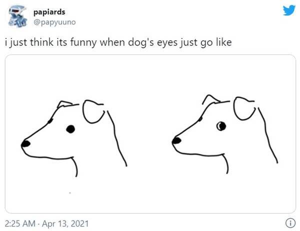 犬の横目って何のサインなんだろう 遊んで欲しい時に横目で見てくることが多いかも こっちの出方を伺ってるんだよ 21年4月17日 エキサイトニュース