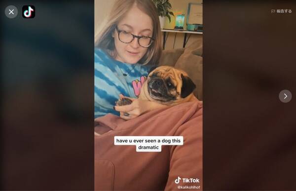 注射を嫌がる子ども並みに爪切りを拒絶するワンコ 最後の 終わり みたいな顔が最高 パグは足触られるのが大嫌いだからね 21年4月27日 エキサイトニュース