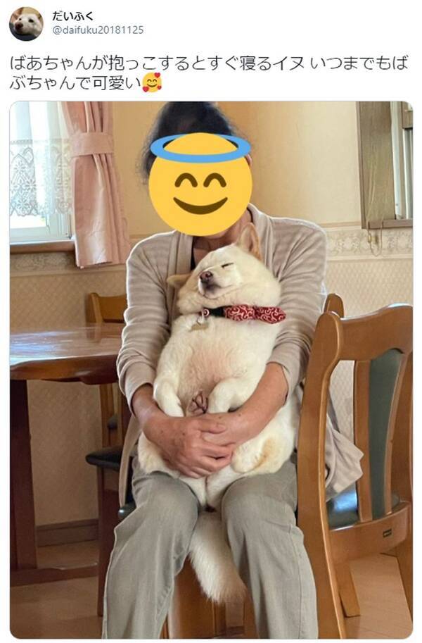 おばあちゃんの腕の中でとろける犬がたまらない可愛さ もちもち 溶けかけのマシュマロ 21年5月10日 エキサイトニュース