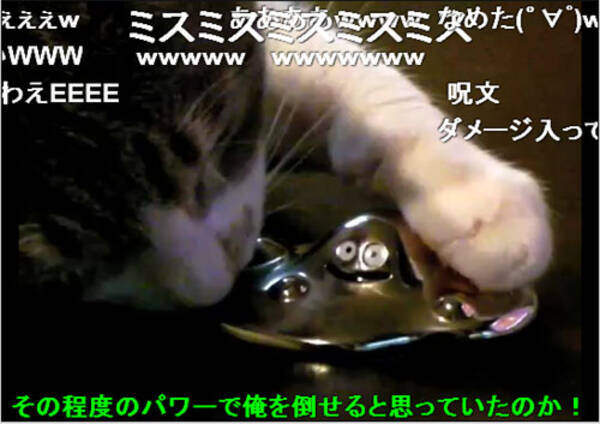 猫 Vs はぐれメタルのバトル動画が人気 もうすぐ再生数40万回 09年10月25日 エキサイトニュース