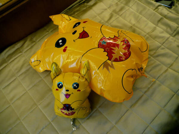 イタリアでピカチュウ発見 でも何かが違う 10年1月2日 エキサイトニュース