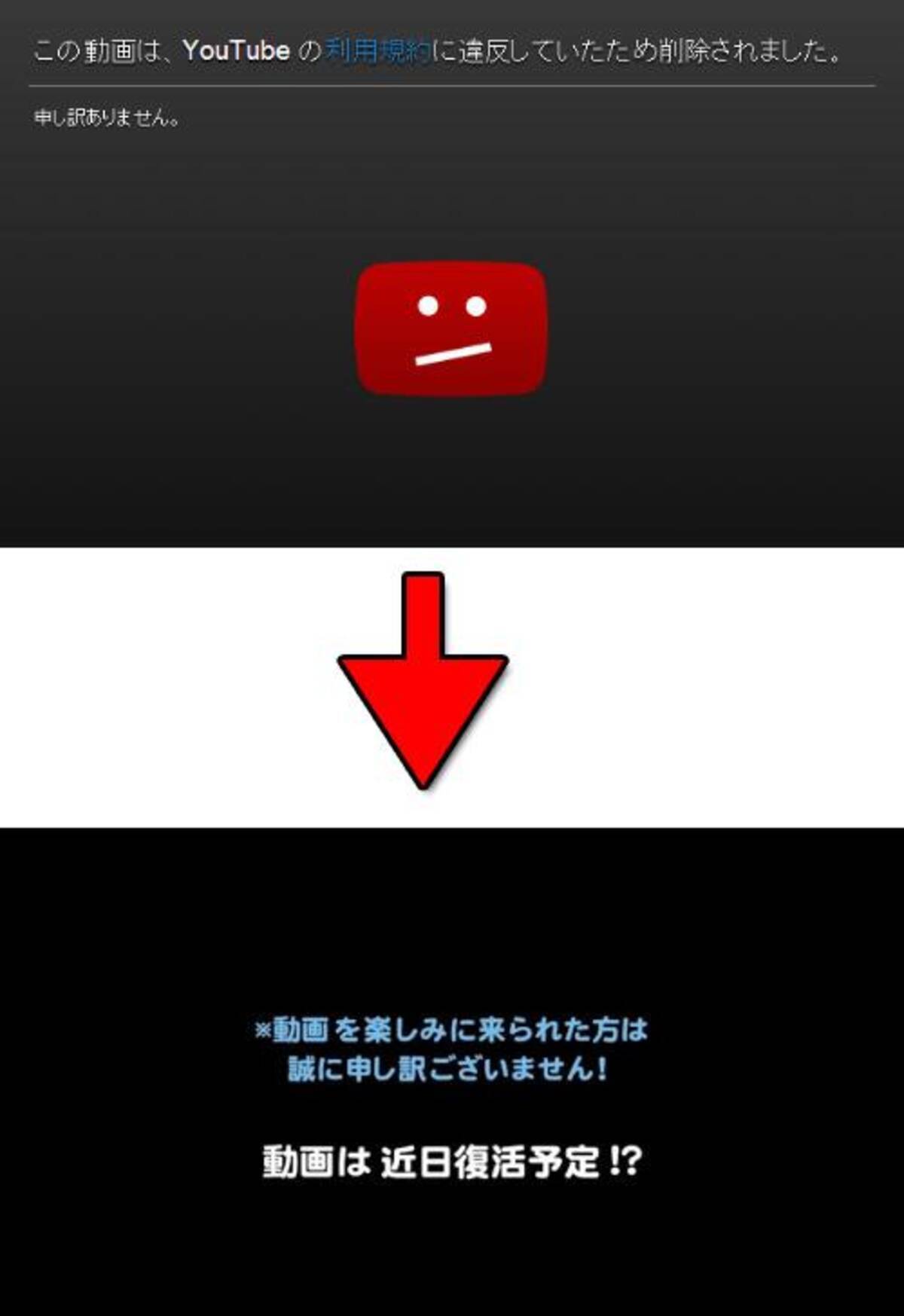 可愛い生主が配信中にbanされる というタイヤ販売メーカーの宣伝動画が利用規約違反によりガチで削除される 14年3月28日 エキサイトニュース