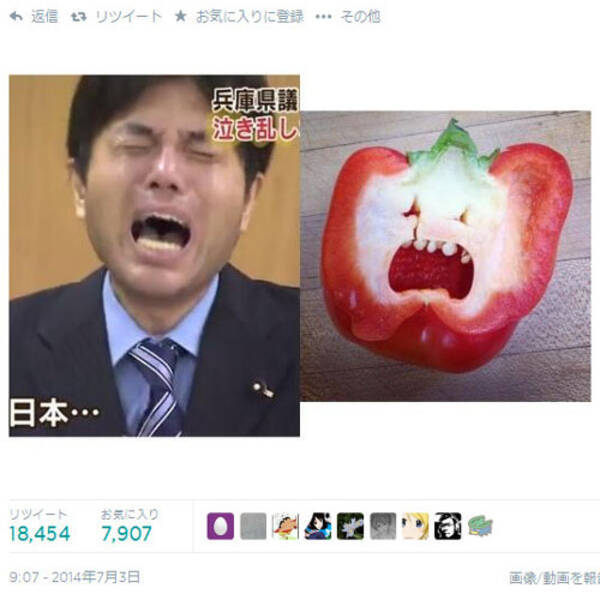野々村竜太郎兵庫県議とパプリカがそっくりだと話題に おなじみラテアートにも登場 14年7月5日 エキサイトニュース