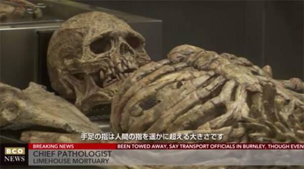 怖い動画 人間のようで人間でない不気味な生物の骨が発見される 14年12月26日 エキサイトニュース