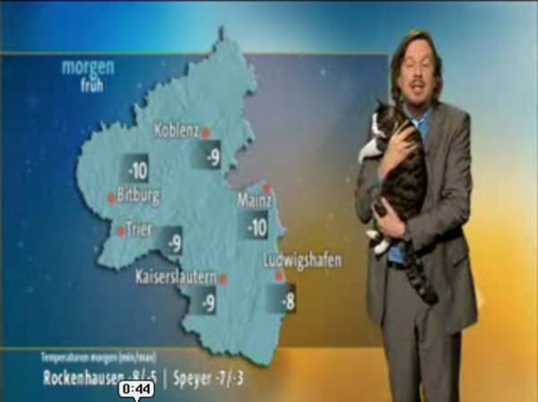 天気予報中に猫が乱入 予報士が猫を抱き上げて放送続行 10年9月29日 エキサイトニュース
