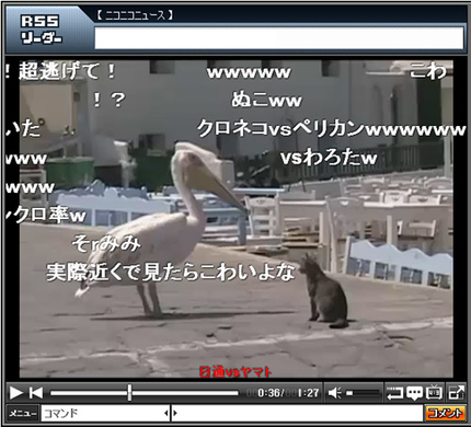 衝撃映像 ペリカンが生きた鳩を丸飲みして食べる動画 09年9月23日 エキサイトニュース