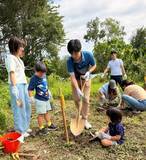 「NX台湾、植樹・資源回収で環境保全に貢献 「CSRグリーンアクションデー」に社員と家族100名が参加」の画像1