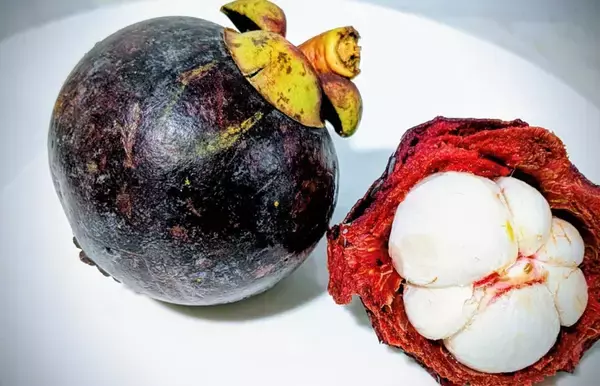 1キロ280円の衝撃！ フィリピン・ダバオで味わう「果物の女王」マンゴスチンの甘美