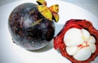 1キロ280円の衝撃！ フィリピン・ダバオで味わう「果物の女王」マンゴスチンの甘美