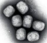 「【コラム】おたくに、エンガチョされる筋合いないわ～　中国」の画像1