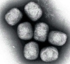 【コラム】おたくに、エンガチョされる筋合いないわ～　中国