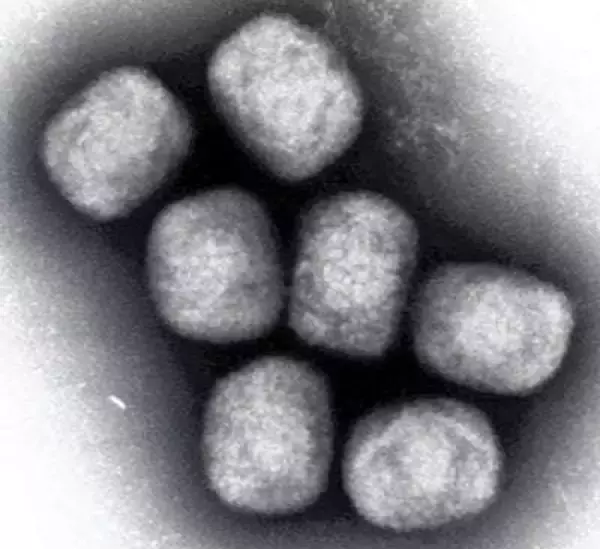 【コラム】おたくに、エンガチョされる筋合いないわ～　中国