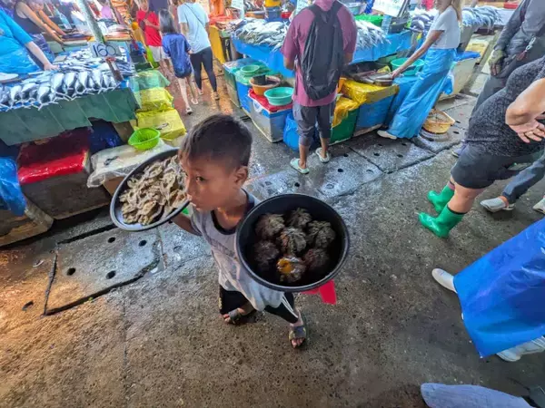 ダバオ市トリル公設市場、熱帯の活気！ 庶民の台所、豊かな海の幸と大地の恵み