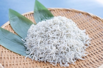 小松水産株式会社 「SHIRASU」を世界で通じる言葉へ