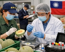 台湾が日本産メロンを水際で全面検査へ　残留農薬問題で示した“友好国でも妥協しない安全基準”