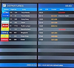 【速報】フィリピン航空セブ―成田便PR434が台風「インダイ」で欠航　折り返しPR433も運休