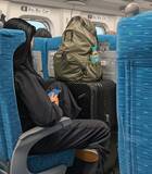 「巨大荷物に揺れる新幹線 京都駅は欧米個人客で活況も中国人団体は減少 混雑対策が急務に」の画像1