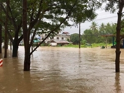 タイ南部の大洪水「過去30年で最悪の豪雨」