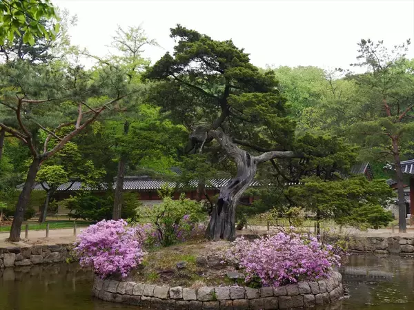 朝鮮学校って、なに？ 『無償化除外は、日本国として当然ではないのか』