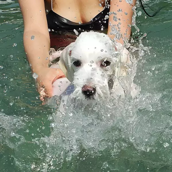 フィリピン・サマル島「ヴィラ・アンパロ」 ダバオから15分、愛犬と過ごす「至近の楽園」