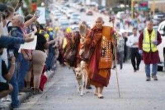 全米が注視・東南アジアの僧侶と愛犬アロカが歩く3700キロ「平和の行進」が説く非暴力の祈り