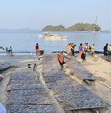「【フィリピン・パラワン島】銀色の小魚舞う砂浜、伝統の定置網漁と天日干し・豊かな海に生きる人」の画像1
