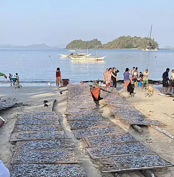 【フィリピン・パラワン島】銀色の小魚舞う砂浜、伝統の定置網漁と天日干し・豊かな海に生きる人