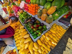 フィリピン、アジア最高得点の退職後の居住地に ―生活費安さとビザ制度が高評価