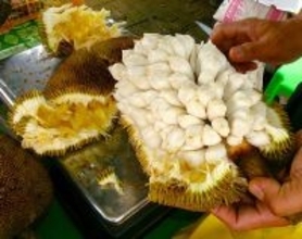 フィリピン南部、ダバオの住宅街で人気・濃厚な甘みと高い栄養価誇る「マラン」