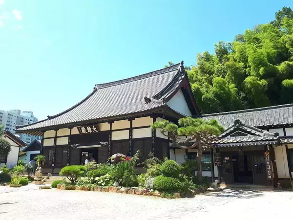 【コラム】日本式寺の慰安婦像のゴタゴター韓国