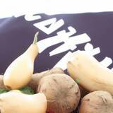 「【コラム】マクワウリが、機能性表示食品だなんて「危険」韓国」の画像1