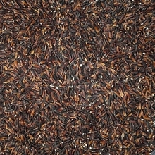 フィリピン・ダバオで黒米人気、5キロ800ペソの高値も健康志向が支持、抗酸化力で生活習慣病予防に期待