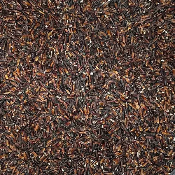 フィリピン・ダバオで黒米人気、5キロ800ペソの高値も健康志向が支持、抗酸化力で生活習慣病予防に期待