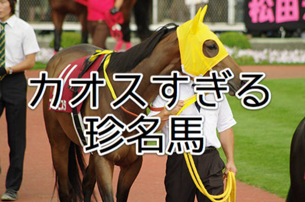 モグモグパクパク 珍名競走馬たちの馬名意味がカオスすぎた 16年1月28日 エキサイトニュース