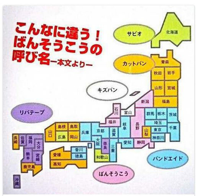 全然違う 海外版でのポケモンキャラクターの呼び名16選 リザード Charmeleon 16年1月31日 エキサイトニュース