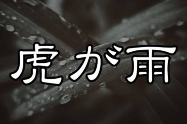 虎が雨 淫雨 やたらカッコ良い雨の名前ランキング 17年2月26日 エキサイトニュース