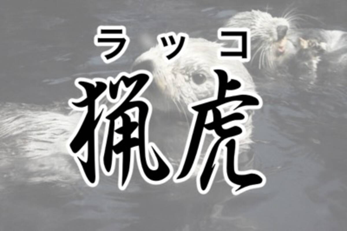 漢字で書くと強そうな動物ランキング 3位食蟻獣 アリクイ 17年4月17日 エキサイトニュース