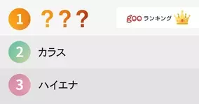 性格が良さそうな動物ランキング 14年9月5日 エキサイトニュース